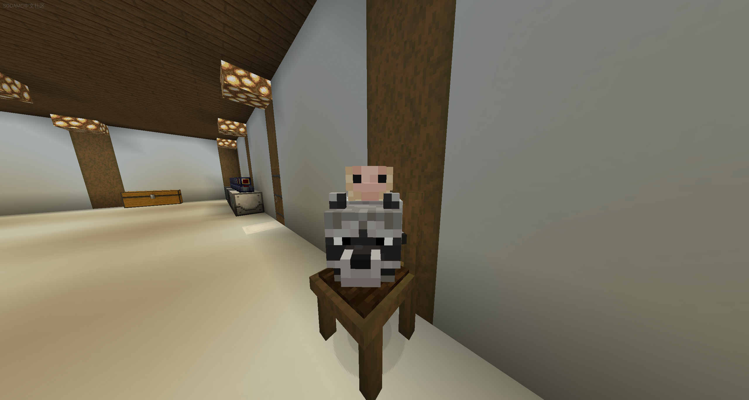 SussyGamers社区模组包 (SussyGamers Community)第2张-SODA SussyGamers社区模组包 (SussyGamers Community)