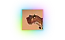 SodaMC