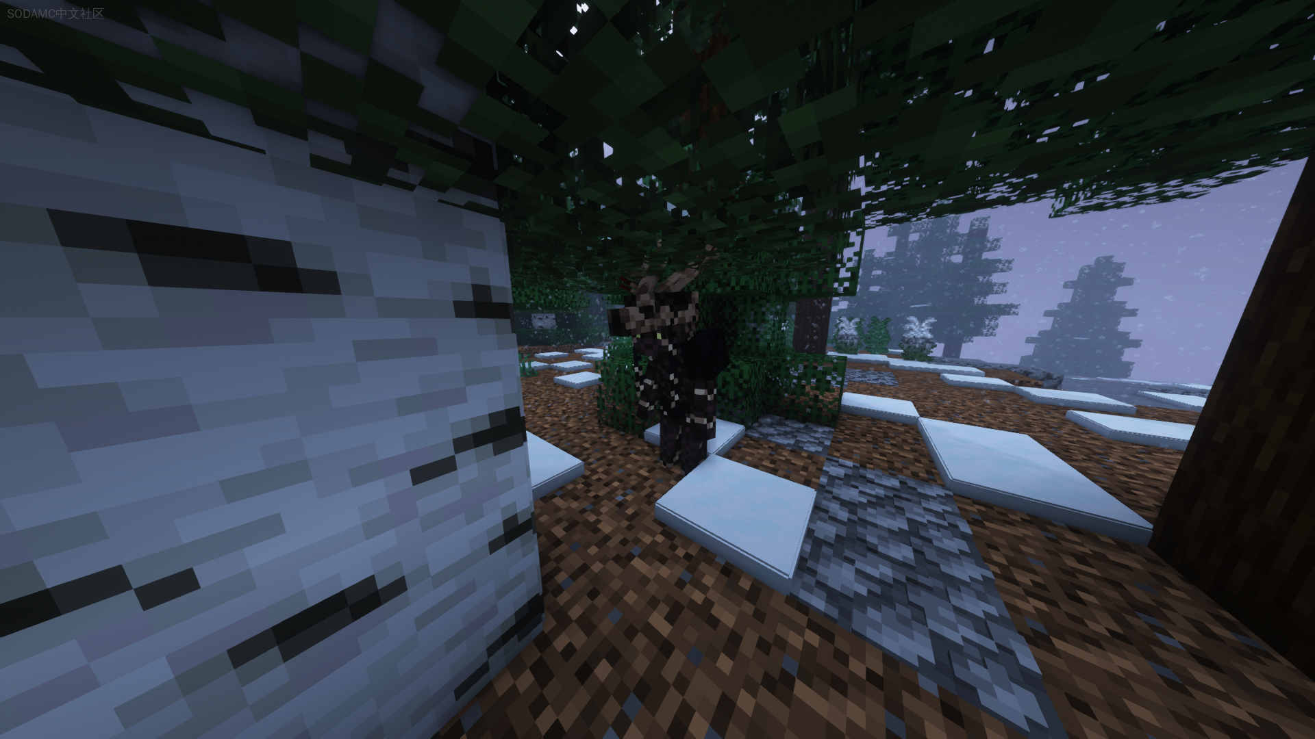 《孤影》(From The Fog)第13张-SODA 《孤影》(From The Fog)