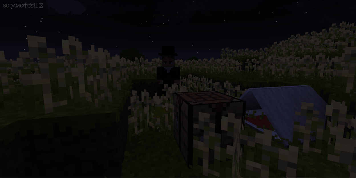 丰富的生物群系 (Biomes of Plenty)第3张-SODA 丰富的生物群系 (Biomes of Plenty)