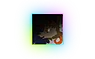 SodaMC