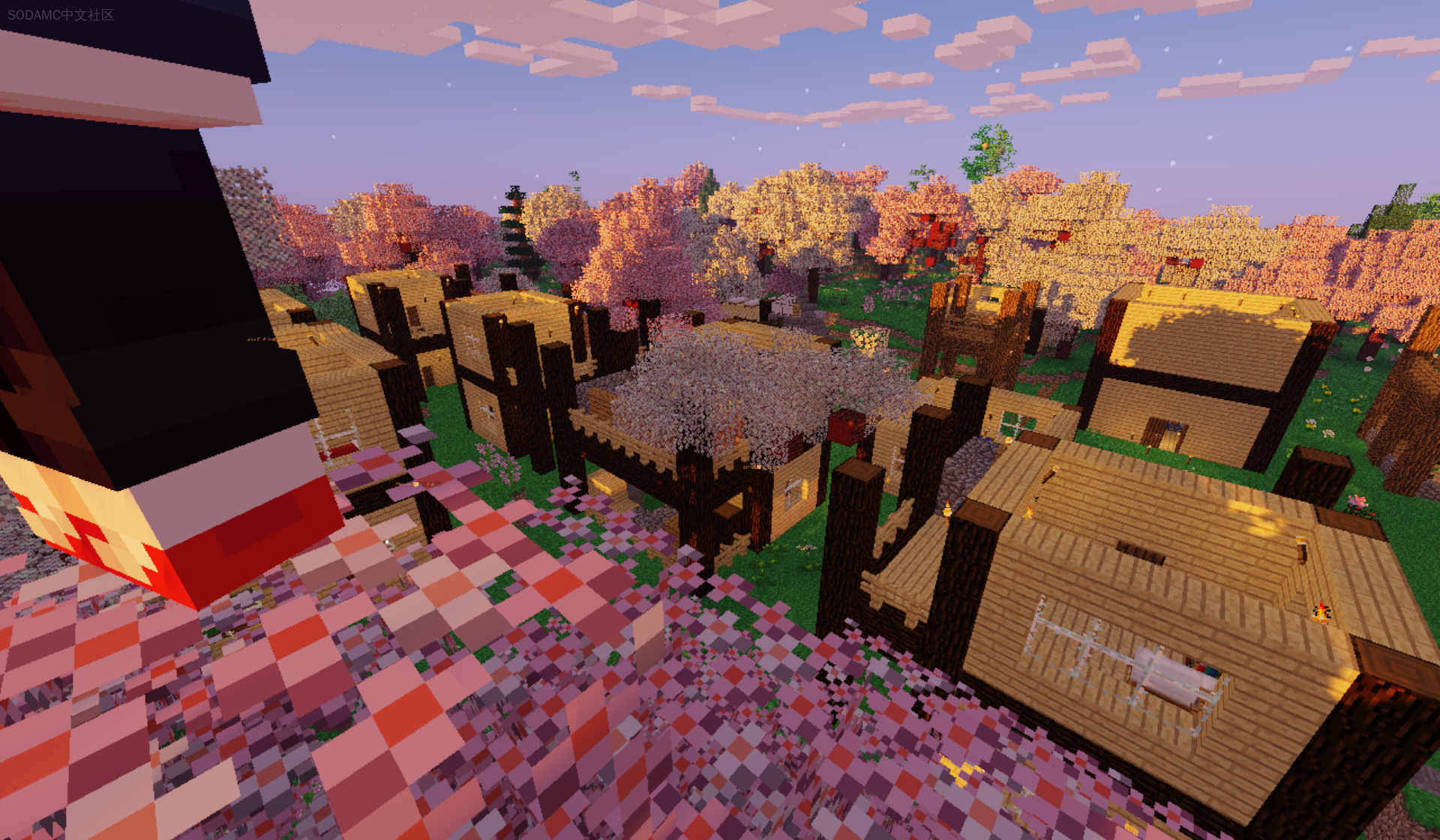 村庄探险 (Life in the village)第2张-SODA 村庄探险 (Life in the village)