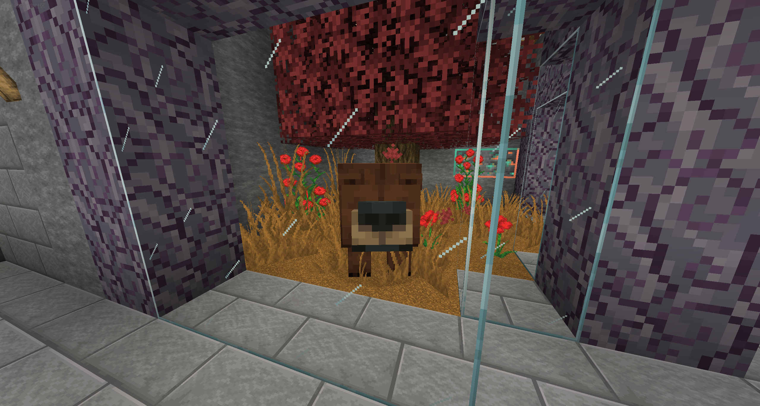 SussyGamers社区模组包 (SussyGamers Community)第3张-SODA SussyGamers社区模组包 (SussyGamers Community)