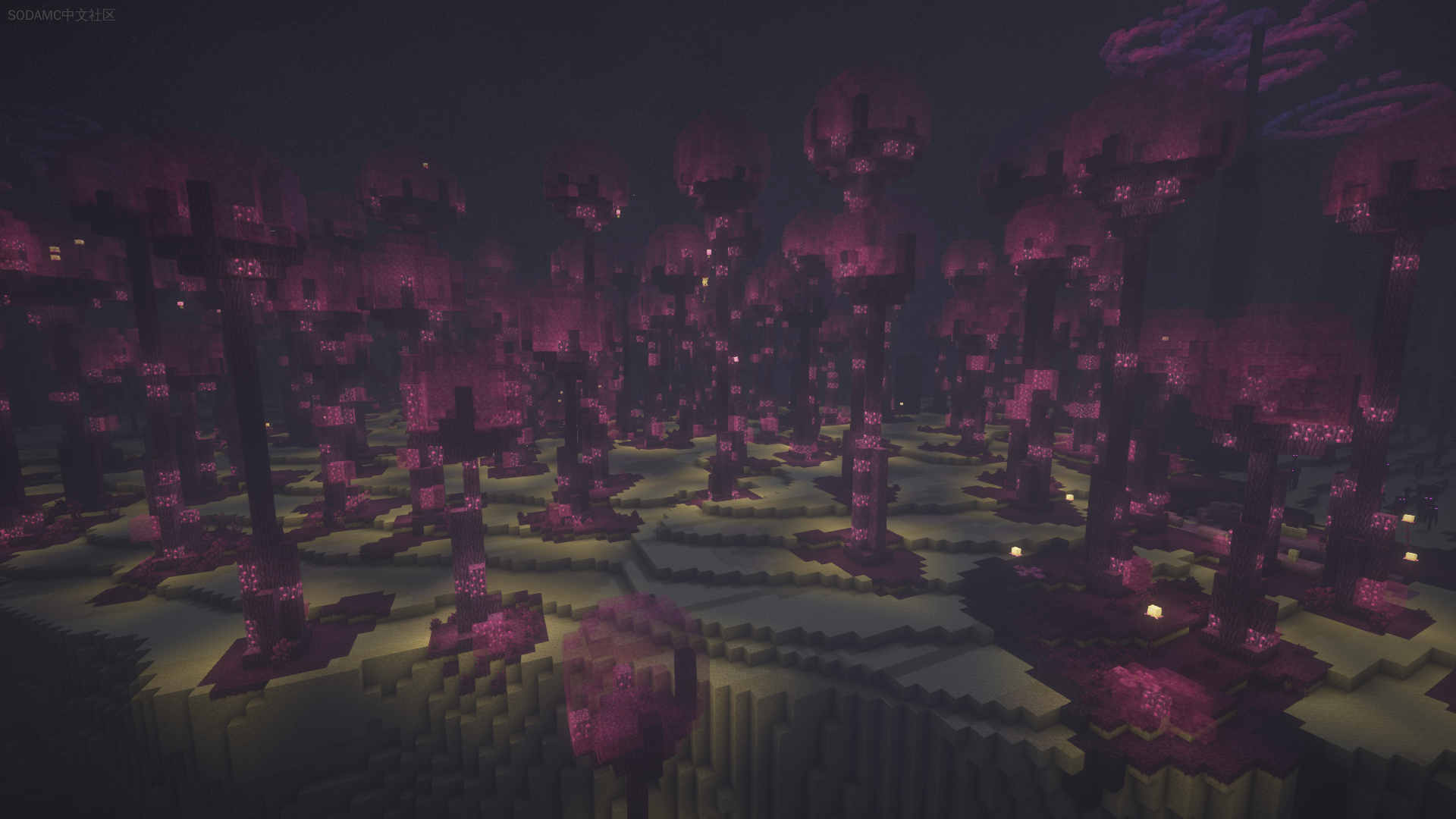 Ender's Journey第7张-SODA Ender