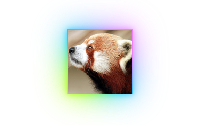 Red Panda Gone (红熊猫走了)
