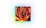 SodaMC