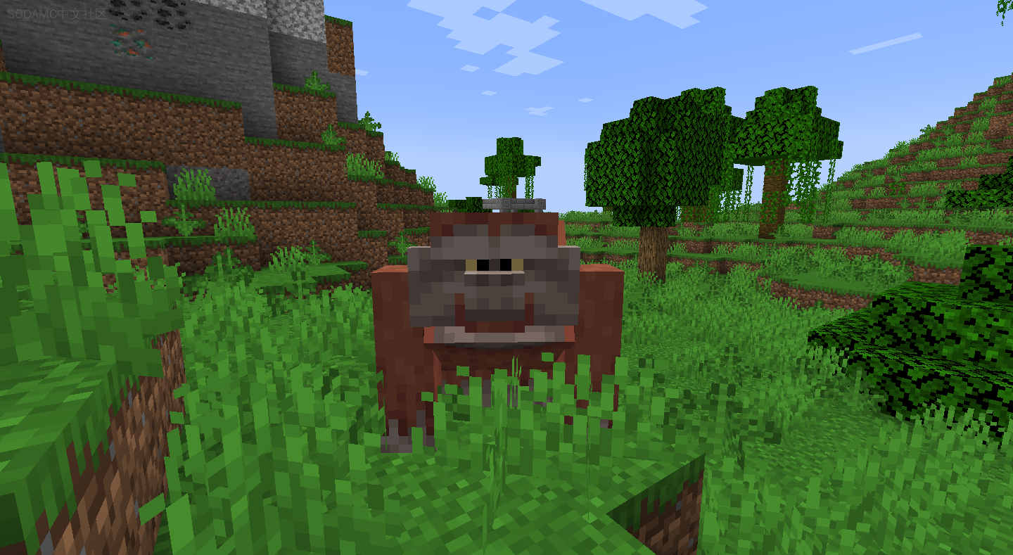 Trinkets & Treasures (珍宝与宝藏)第2张-SODA Trinkets & Treasures (珍宝与宝藏)