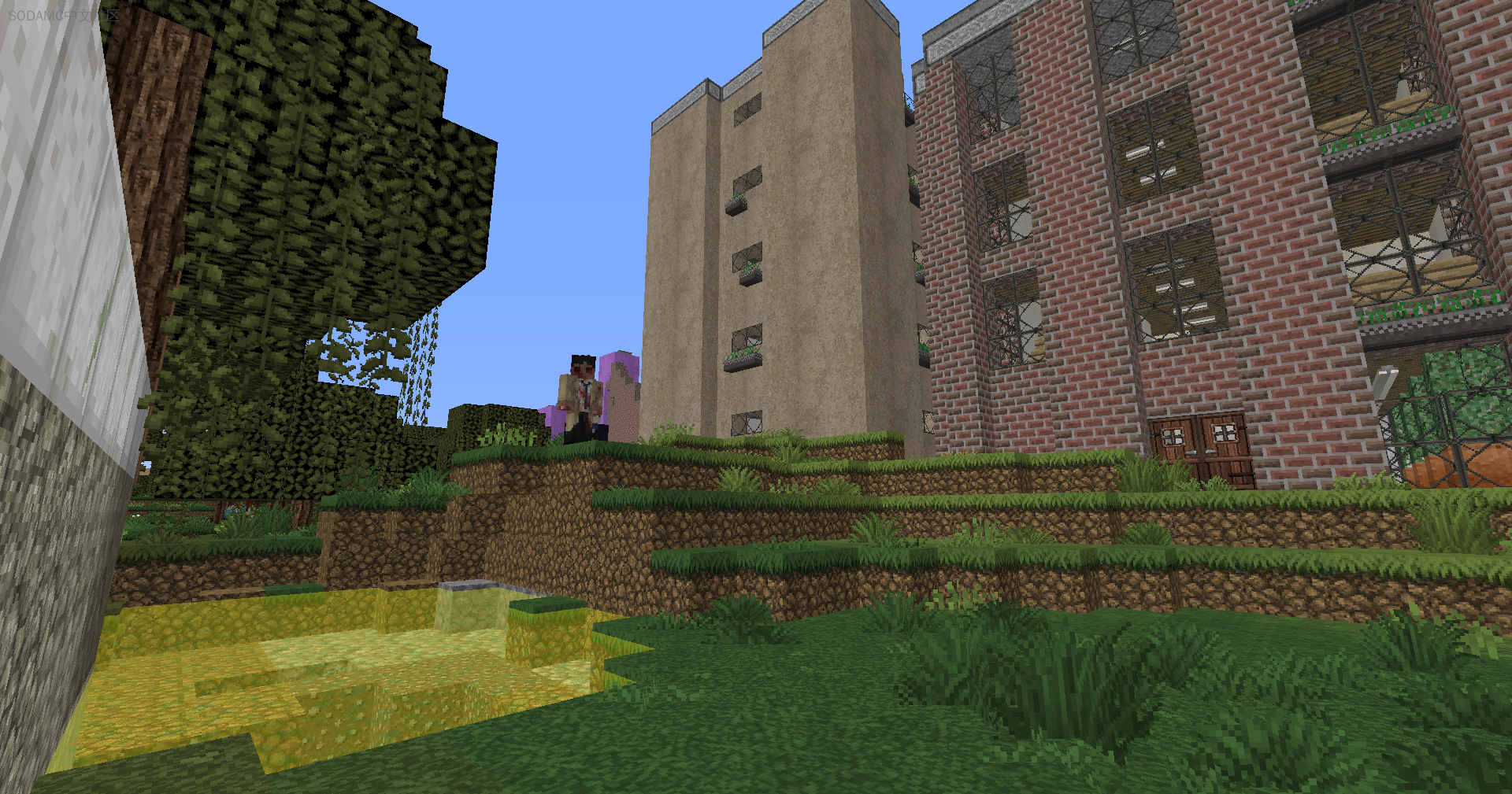 《异体》模组包 (Other Body Modpack)第5张-SODA 《异体》模组包 (Other Body Modpack)