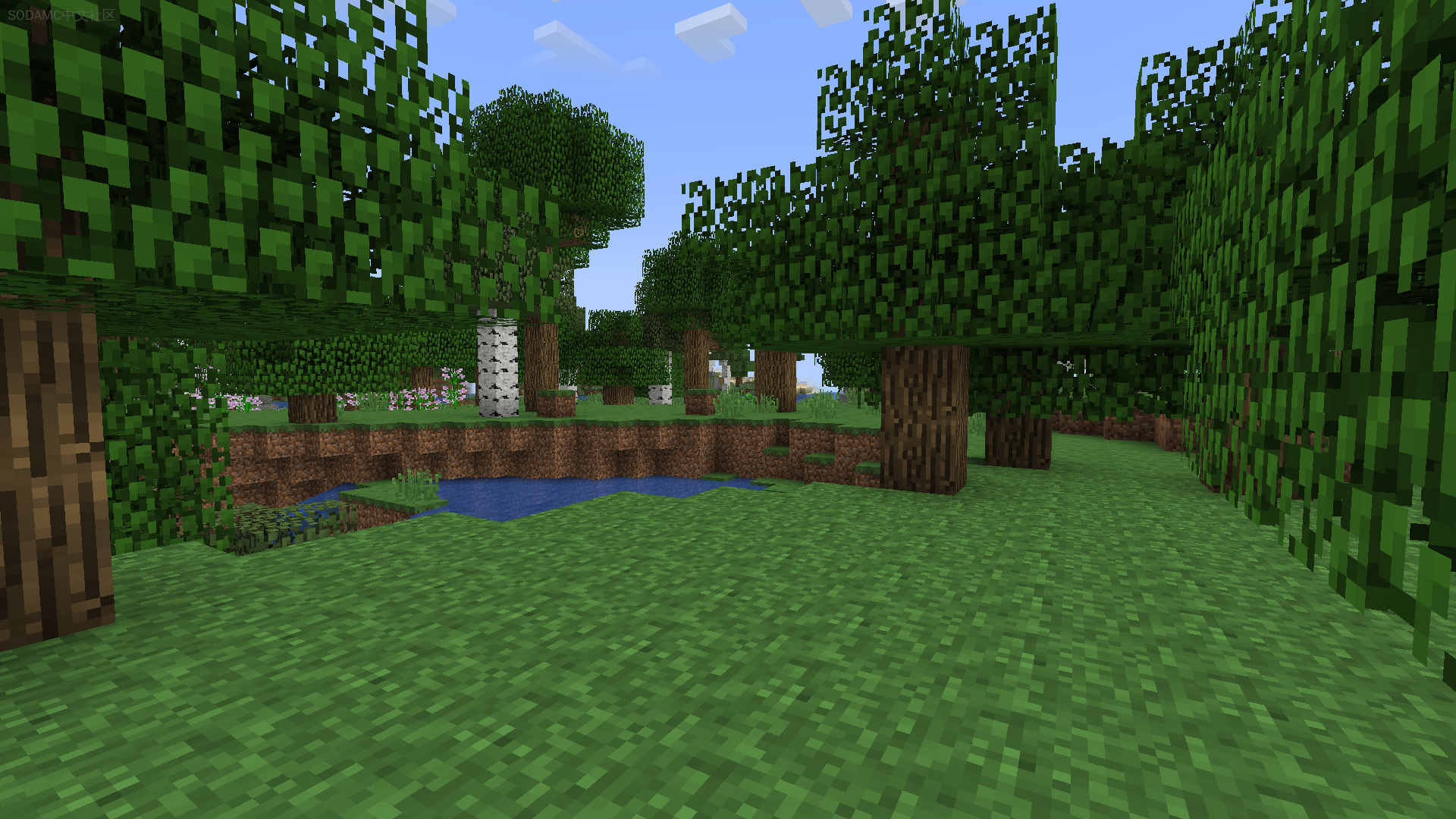 Minecraft: 经典版(Minecraft: Classic Edition)-材质资源包