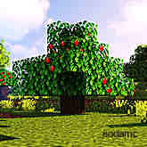 木制精华 (Premium Wood)