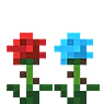 玫瑰(Roses)