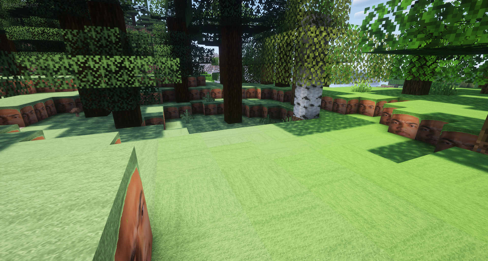 Minecraft Grass Block Guy minecraft-grass-block-guy
