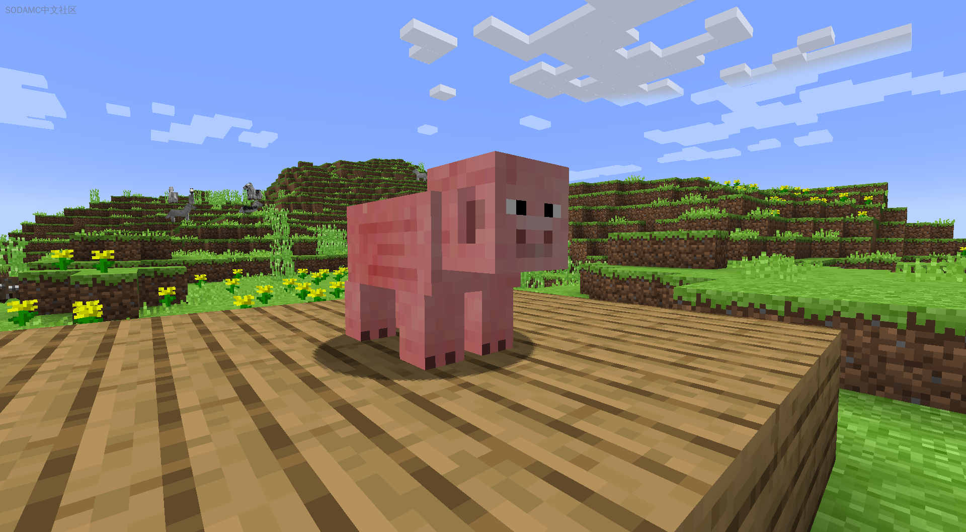 Acraft第9张-SODA Acraft