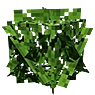 EMP的更茂盛叶子(EMP's Bushier Leaves)