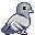 鸽子模组(Pigeon Mod)