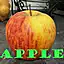大苹果(THE BIG APPLE)