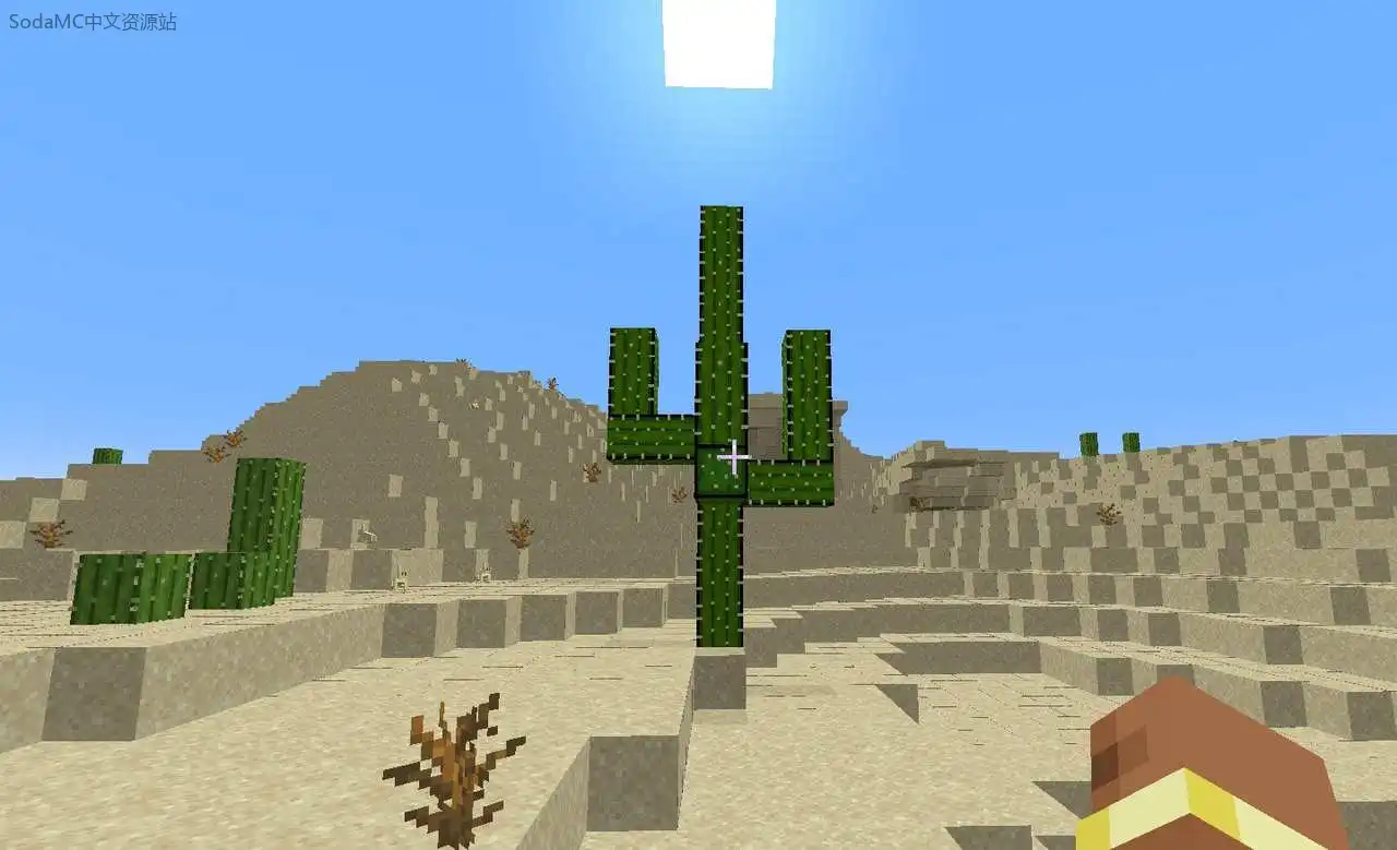 更多树木尺寸(More_Tree_Sizes)第4张-SODA 更多树木尺寸(More_Tree_Sizes)