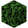 Bluemap资源包非透明树叶(Bluemap Resourcepack Non Transparent Tree Leaves)