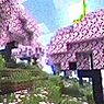 MC VHS(Minecraft VHS)