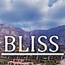 Bliss Shaders(极致光影)