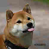 MLEM (Mod List Export Maker)