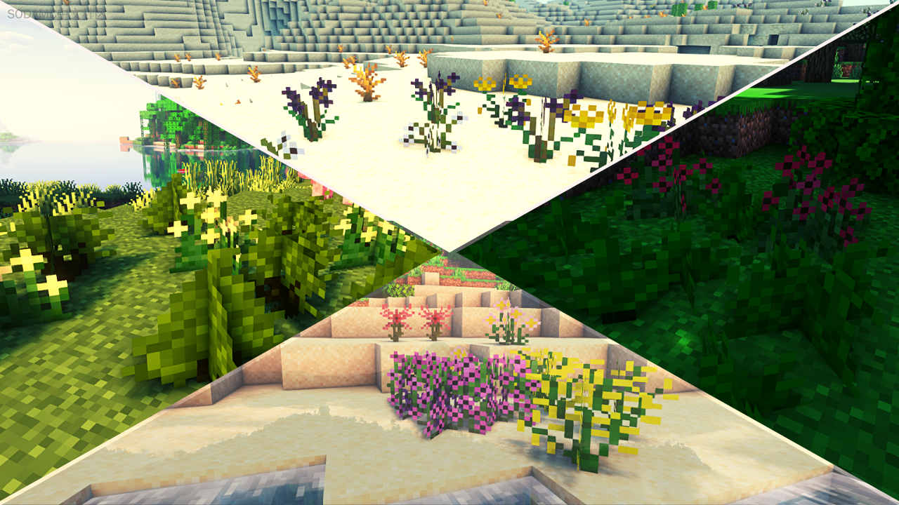 Arch Flora (Arch Flora)第13张-SODA Arch Flora (Arch Flora)