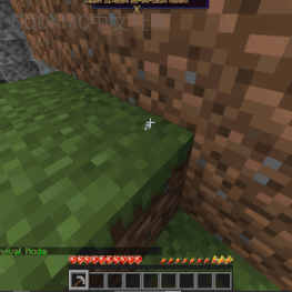 Coal Ore > Diamond Ore | Visually changes the Coal ore to Diamond Ore