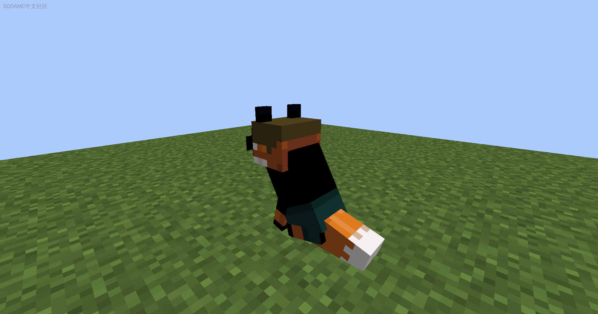 Xenia狐狸(Xenia Foxes)第4张-SODA Xenia狐狸(Xenia Foxes)