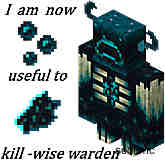 Warden Drop (监视者掉落)