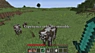 无（隐形）经验球！一款舒缓的材质包！适合拍摄！ (NO(INVISIBLE) EXPERIENCE ORBS! A Relieving Texture Pack! Good for Filming!)